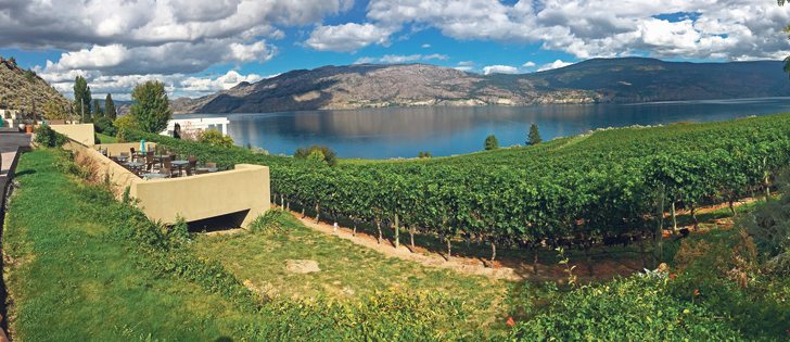 Vineyards come up to the edge of Evolve Cellars on the shores of Lake Okanagan in Summerland, B.C.  |  Terry Fries photo