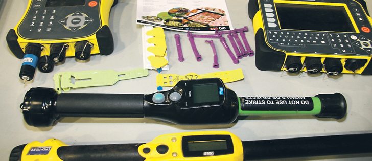 Electronic ear tags and leg tags are being tested for goat identification. The hand-held wands can collect the information attached to a number embedded in the tag and is transmitted to a computer. The yellow tags fit like a button in the goat’s ear. The purple tags curl around the ear and are snapped in place, while the bands are attached to legs. |  Barbara Duckworth photo