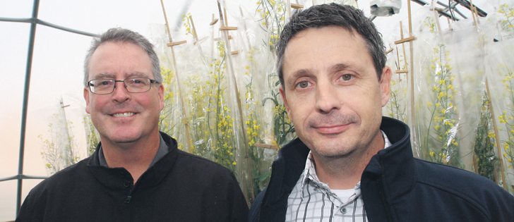 Kevin McCallum of DL Seeds, left, and Eric Gregory of Brett Young say co-operating allows them to compete with the giants.  |  Ed White photo