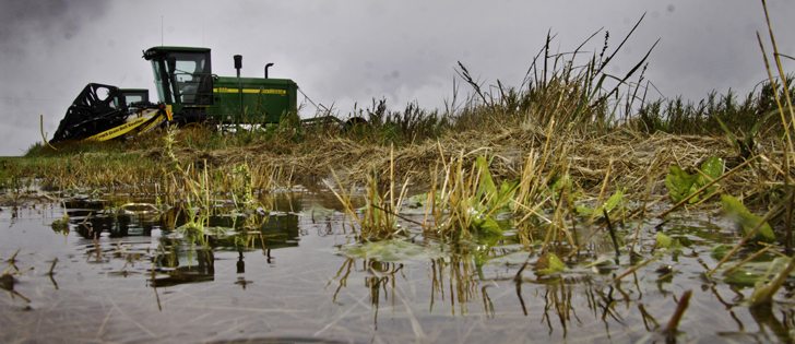 Environment Canada is forecasting rain, wind and a possibility of snow Oct. 3–5. | File photo