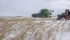 Farmers are battling winter conditions to bring in billions of dollars worth of crop still lying in prairie fields, but it isn’t the first time.
| William DeKay photo