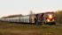 Producers in a certain region of the Prairies will grumble that the railways aren't making grain cars available for their local elevator, but that frustration may be misdirected. | File photo