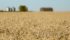 A combined levy of $1.09 per tonne would be 7.6 percent lower than what is now collected. | Robin Booker photo