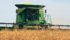 Oilseeds such as mustard are less prone to deterioration in wet conditions, and yields are almost on par with last year. | File photo