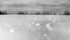 R.B. Williams of Jeffrey, Alta., took this photo Jan. 3, 1954, after a soft snowfall and strong winds created miles of these naturally formed snowballs. “Never saw anything like it before,” Williams wrote. | File photo