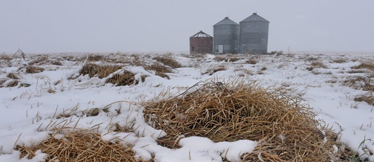 What looked like bumper yields in spring have now turned into an insulating layer that prevents sunshine from drying out the ground so farm equipment can do its job.  | File photo