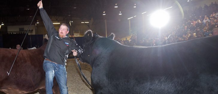 Sean Enright of Renfrew, Ont., won supreme champion bull at Canadain Western Agribition Nov. 26. The yearling bull will retire after this win. | William DeKay photo