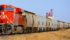 CP says it shipped a record 15,865 car loads of prairie grain to west coast ports in October, surpassing the company's previous monthly record of 15,449 car loads set in March. | File photo