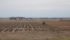Desperate prairie farmers continued to chip away at unharvested acres this week, but lodged crops, damp grain and muddy field conditions added further delays to what has already become one of the latest and most difficult harvest seasons in recent memory.
| Edwin Crook photo