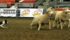A crowd favourite, the International Stock Dog Championships, is also underway at Agribition today with the final round at 1:30. | File photo