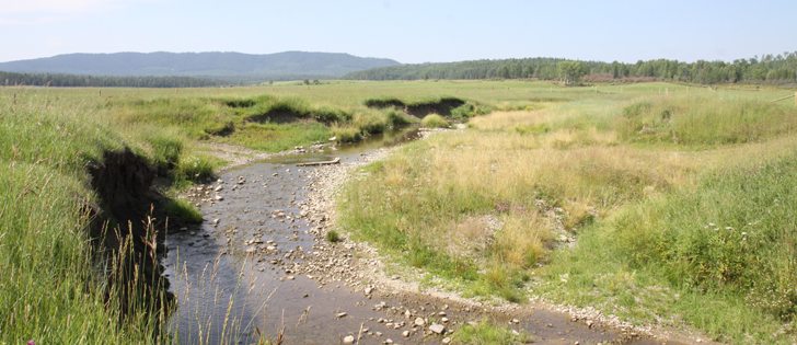 Farmers and industry stakeholders meeting in Ottawa last week say it’s time for a national environmental farm plan. 

Just how broad that plan should be, however, is up for discussion.  | File photo