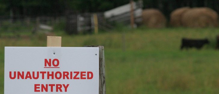 Canada's chief veterinarian says it has enough resources to test all the animals quarantined due to tuberculosis in southern Alberta and Saskatchewan. | File photo