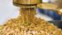 Overseas buyers were pleased to learn that Canada has milling quality durum available, even with the weather problems during summer and at harvest. | File photo