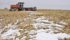 Farmers persevered against some of the most challenging fall conditions in years and brought in a large crop. Statistics Canada had trouble tallying the crop because of the late harvest. Its numbers are subject to revision for two years. | File photo