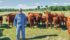 Darell Goodrich is pictured in the book wearing faded jeans, jean jacket and fedora, standing in his pasture. | Jodi Sware photo