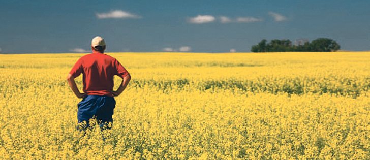 The Canola 100 contest will award a grower for achieving 100 bushels per acre over a contiguous 50-acre area of a field with the use of new John Deere farm equipment.  |  File photo