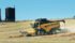 A canola fertility program cost $300 per acre more than what was normally done but yielded only 1.4 bu. per acre more. | Robin Booker photo