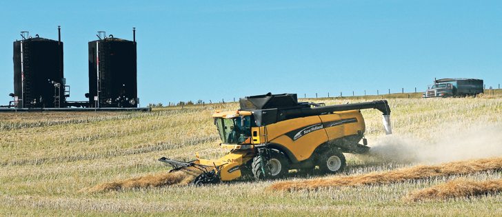 A canola fertility program cost $300 per acre more than what was normally done but yielded only 1.4 bu. per acre more.  |  Robin Booker photo