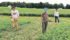 Chris Pelzer, left, Ann Bybee-Finley and Casey McManus clean up the edges of a cowpea plot about 30 days after planting on the first field site for the experiment in 2013. Bybee-Finley is currently working with combinations of two legumes and two grasses.  |  Sustainable Cropping Systems Lab