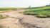 A 50-year-old saltwater spill in North Dakota leaves the soil bare of plants. Brine spills can occur on or off oil well pads, causing damage to equipment and taking portions of land out of agricultural production. Prairie cropland is considered to be severely saline if the electrical conductivity is 15. Sea water has an EC of 40 to 50. The brine from fracking has an EC well over 200. | Aaron Daigh/NDSU photo