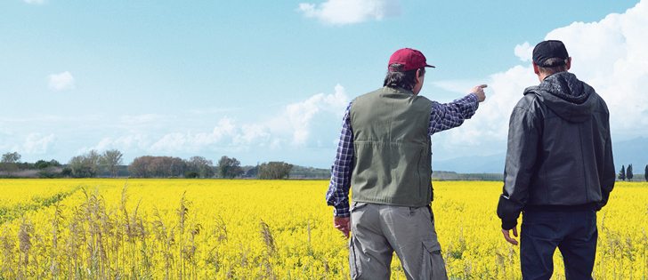 The degree of involvement in decision making is a key factor in determining if a person is a farmer under tax law.  |  Getty image