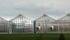 A Chinese biotech seed firm has planted genetically modified corn seeds in the United States at a greenhouse designated by the U.S. Department of Agriculture, the company said, an early step toward launching China's first GMO corn products in the United States. | File photo