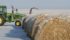Prairie grain growers may soon be desperate for on-farm workers because a new report predicts a labour shortfall of more than 17,000 in Canada. | File photo