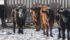 An uncertain future looms over a community of southern Alberta ranchers whose operations are in quarantine because of bovine tuberculosis.
| File photo