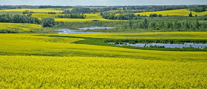 Monsanto Shareholders approved the company's US$66 billion acquisition by Bayer AG, a deal that still requires regulatory approval. | Robin Booker photo