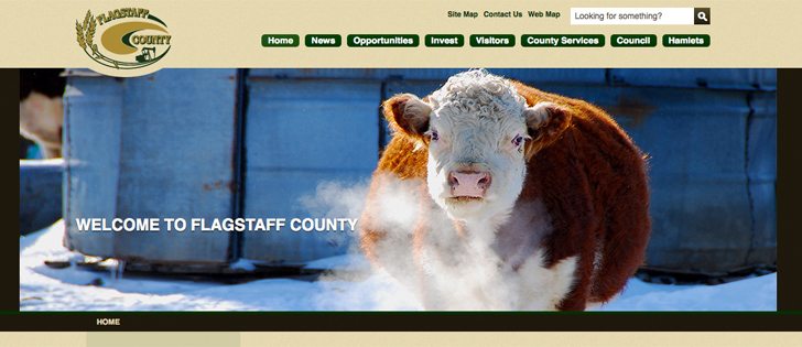 Flagstaff County and the eight towns and villages within it are considering the formation of a single regional governance model. | Screencap via www.flagstaff.ab.ca