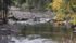 Neonicotinoids are present in streams and waterways throughout southern Ontario, says a new report from Environment Canada. | File photo