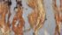 A researcher hopes to develop a way to determine root rot inoculum levels in a field. | File photo