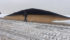 Farmers in the Rouleau, Sk area who’ve had their grain bags cut are frustrated by the vandalism. | photo supplied by Trevor Bjarnarson.