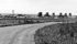 The town of Peace River, Alta., in 1953. | File photo