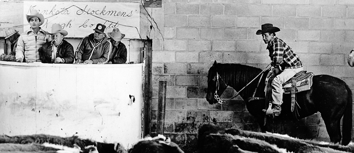 The calf sale in Mankota, Sask., was in full swing in October 1979.  |  File photo