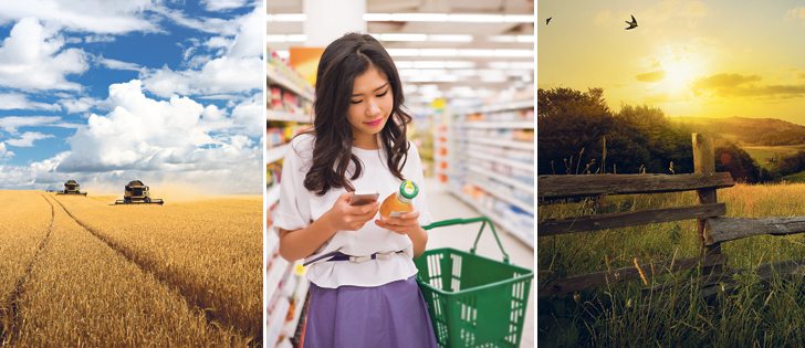 David McInnes is convinced that Canada can become a global powerhouse in agriculture and food if business leaders and policy makers embrace that vision.  | Getty images