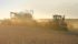 U.S. farmers slashed their winter wheat plantings to the lowest in more than a century as supplies of the grain ballooned to a 29-year high, the U.S. Department of Agriculture said on Thursday. | File photo