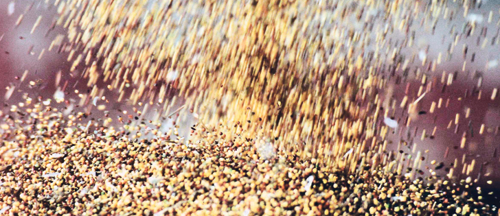 Canola crushers need dedicated handling facilities to handle their products once seed is turned into oil, meal and pellets.  |  File photo