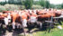 More U.S. cattle means more beef, but consumer income is stagnant, leaving little ability to buy more, meaning an oversupply could be on the horizon. | File photo
