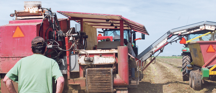 Ontario processing growers delivered 500,000 tons of tomatoes to processors in the province last year. They’re under pressure to change the way the crop is contracted.  |  Jeffrey Carter photo