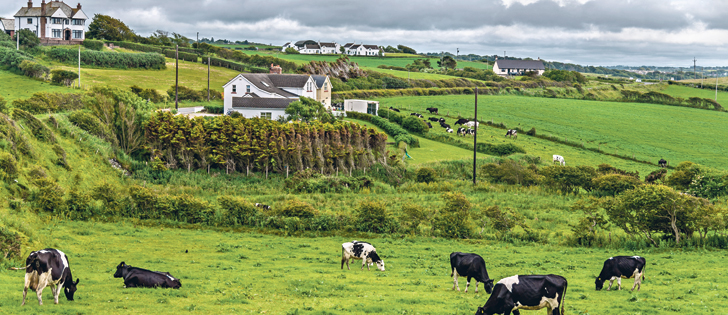 The beef sector accounts for 40 percent of Ireland’s gross agriculture output, with exports worth about $C5billion. | Getty photo