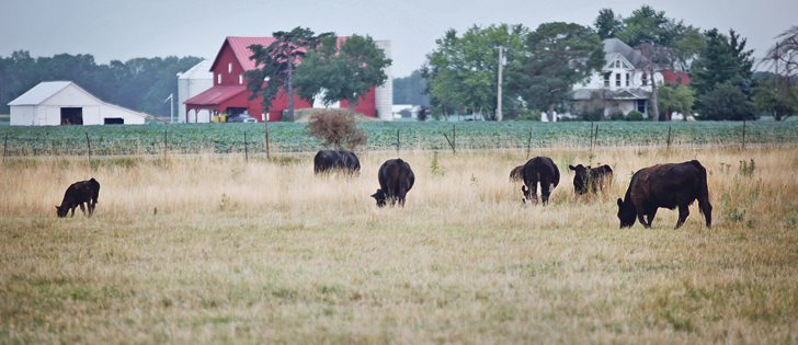 A severe drought in the United States forced producers to cull their herds earlier in the decade, which has now prompted a rapid expansion.  |  File photo