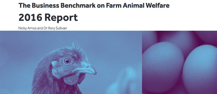 The 2016 benchmark study found that 48 companies had improved their scores for management commitment since the last report in 2015.  The most improved were food producing companies. | Screencap via www.bbfaw.com