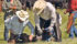 Beef calves should be vaccinated early to guard them against the risks of scours and pneumonia. | File photo
