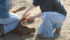 Dehorning and castration are best done when animals are young, but it isn’t known at what age cattle are least likely to feel acute pain and/or recover best from experiencing it. | File photo