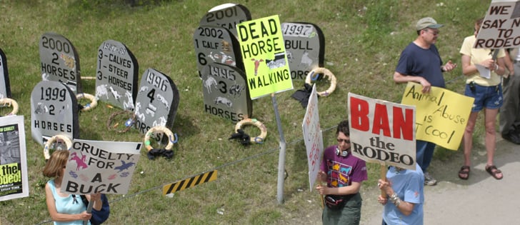 Livestock producers and transporters are sometimes challenged to deal with protestors. The best way, and in Geraldine Auston’s view the only way, is to always do the right thing.  | File photo