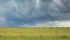 Saskatchewan agriculture minister Lyle Stewart announced Feb. 23 that crop insurance premiums in Saskatchewan will rise on average by 8.5 percent in 2017. | File photo