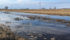 Open water was hard to miss Feb. 22, along the Trans-Canada Highway between Winnipeg and Brandon because nearly every field had a small or large pond of melt water. | Robert Arnason photo