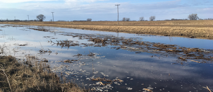 Open water was hard to miss Feb. 22, along the Trans-Canada Highway between Winnipeg and Brandon because nearly every field had a small or large pond of melt water. | Robert Arnason photo