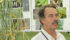 Tom Fetch, a stem rust specialist in cereal crops with Agriculture Canada, works with global partners to fight the spread of Ug99, a race of stem rust spreading across Africa. Fetch studies Ug99 in a new facility at the Ag Canada research centre in Morden, Man., which is the only Level 3 lab in Canada designed for hazardous plant pathogens. | File photo